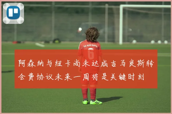 阿森纳与纽卡尚未达成吉马良斯转会费协议未来一周将是关键时刻