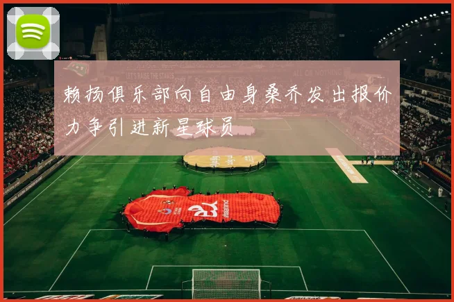 赖扬俱乐部向自由身桑乔发出报价力争引进新星球员